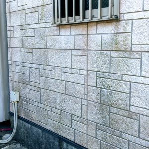 富山市で見られる、外壁にうっすら緑っぽい色が出るコケ・藻の付着