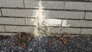 黒部市で見られる、外壁に白い筋が残って白っぽく見える白華（エフロレッセンス）の例