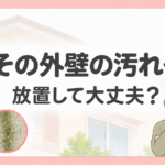 外壁のカビ・藻・雨だれ汚れを解説する画像