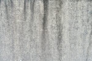 外壁の黒ずみやくすみがこびり付き、落ちにくくなっている状態